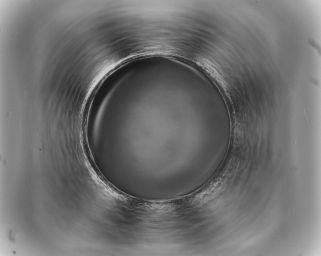 X0000095520941200712281457