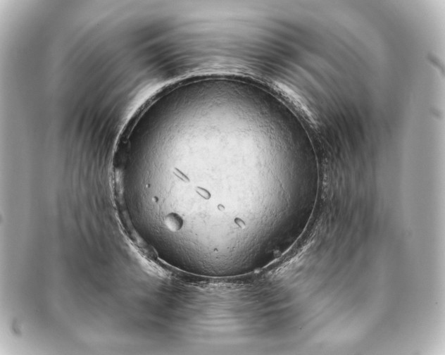 X0000095520942200712281457