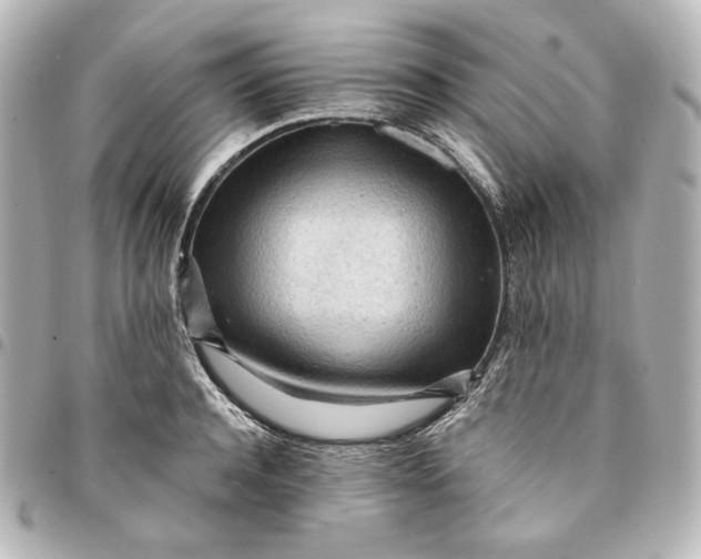 X0000095520944200712281457