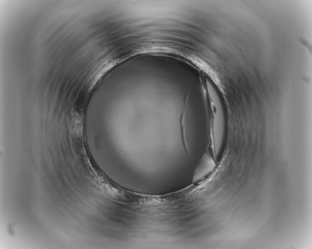 X0000095520945200712281457