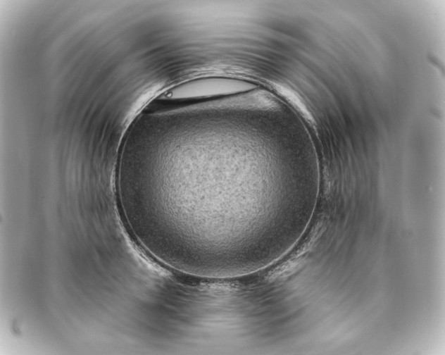 X0000095520946200712281457