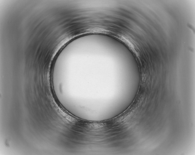 X0000095520947200712281457