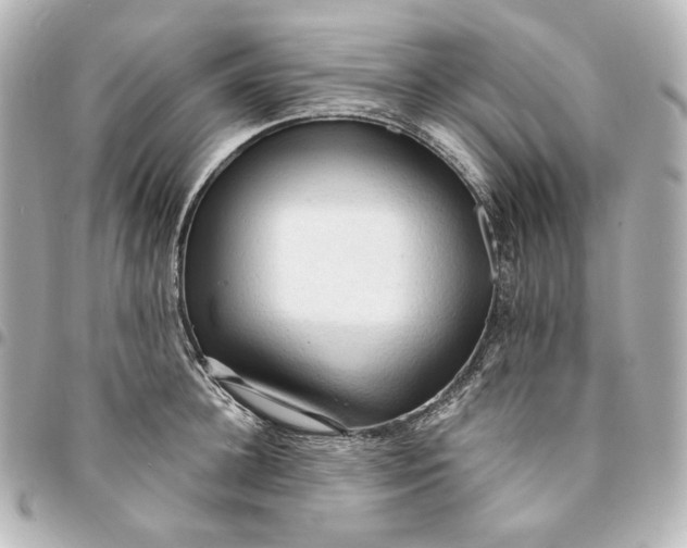 X0000095520948200712281457