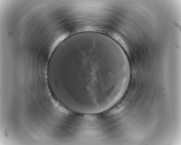 X0000095520954200712281457