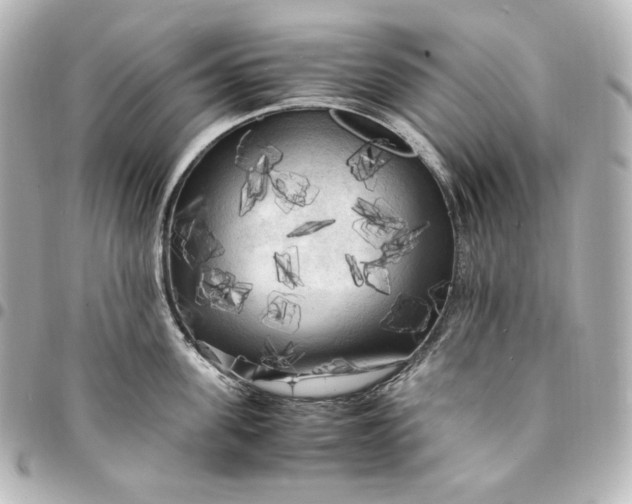 X0000095520955200712281457