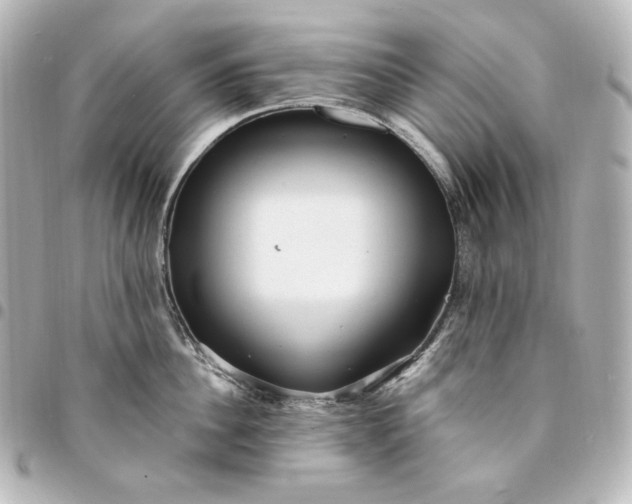 X0000095520956200712281457