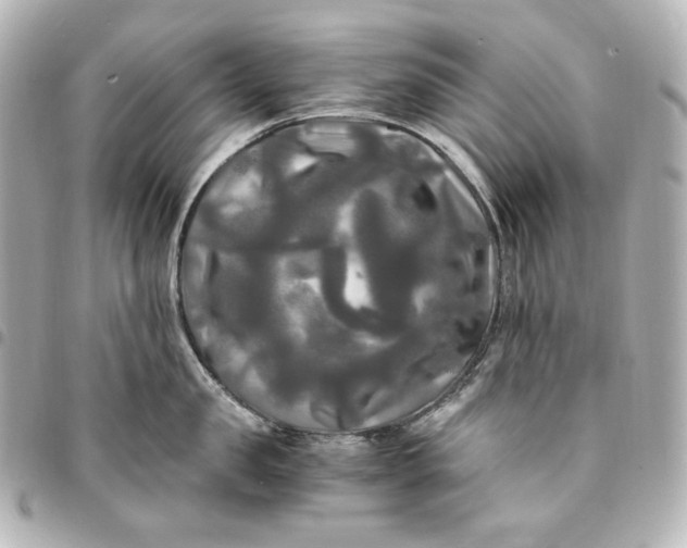 X0000095520957200712281457