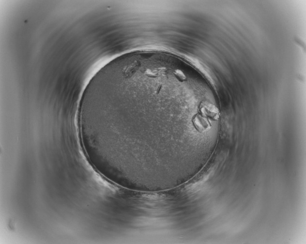 X0000095520959200712281457