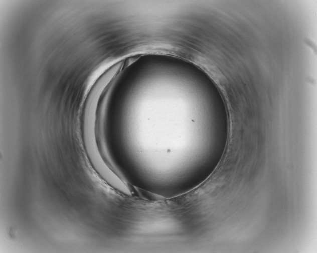 X0000095520960200712281457