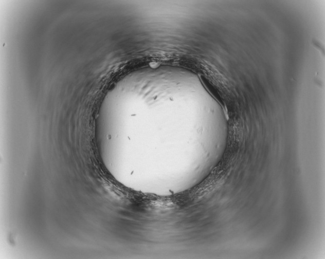 X0000095520961200712281457