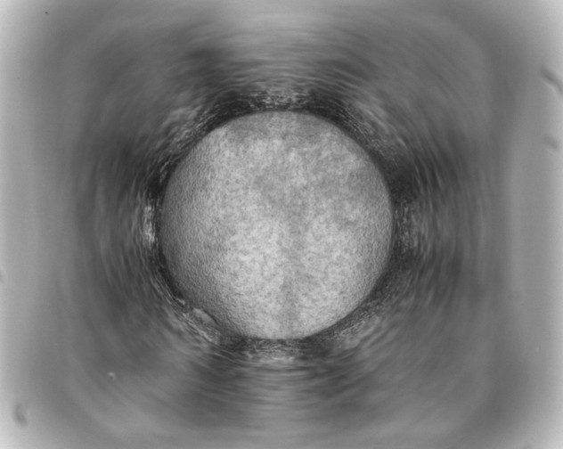 X0000095520962200712281457