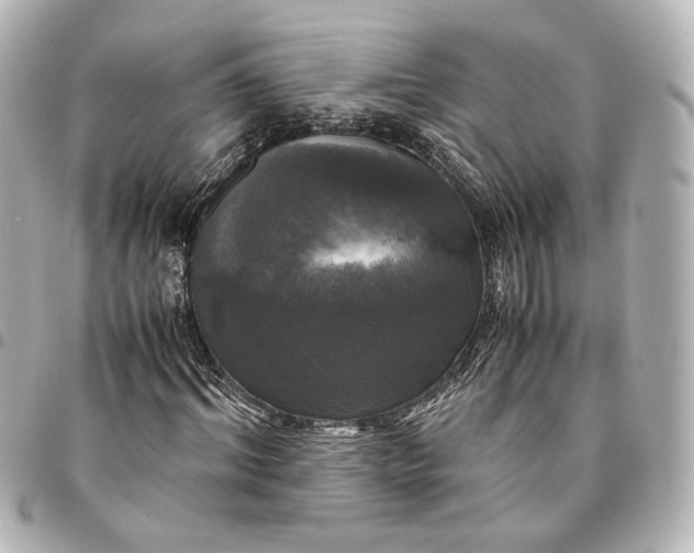 X0000095520964200712281456