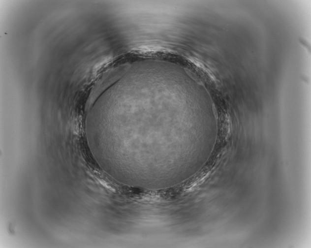 X0000095520965200712281456