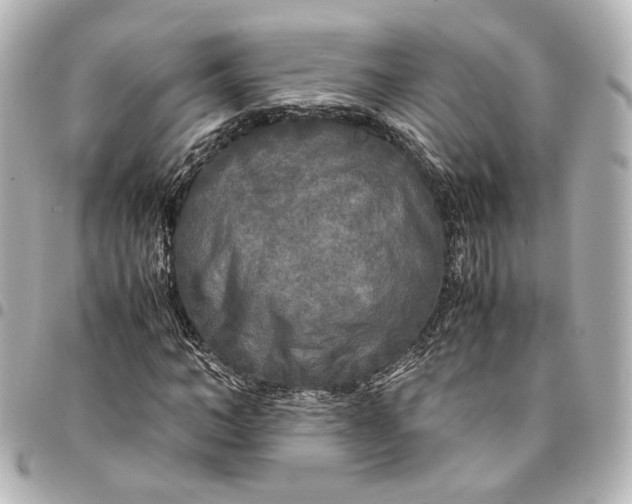 X0000095520966200712281456