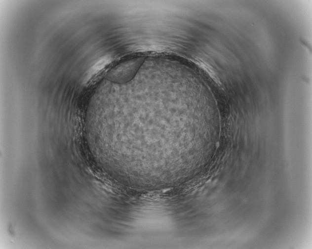 X0000095520967200712281456