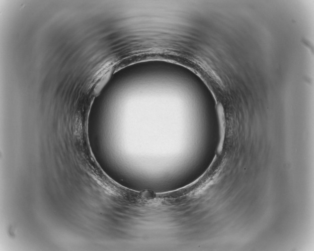 X0000095520969200712281456