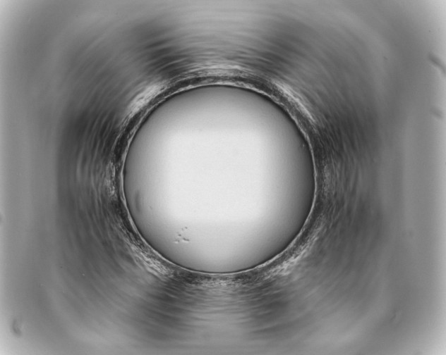 X0000095520970200712281456