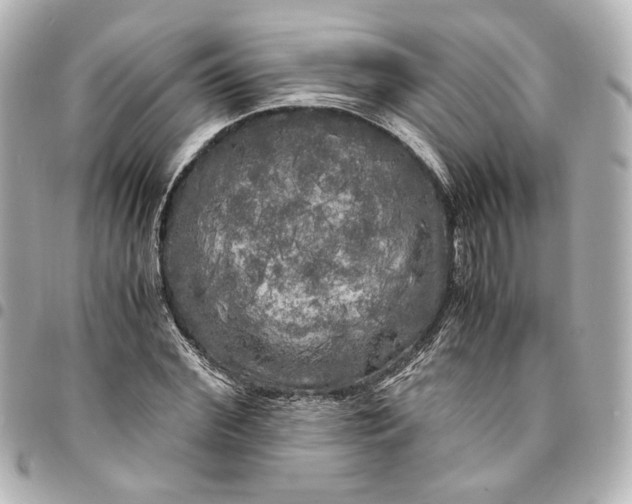 X0000095520972200712281456