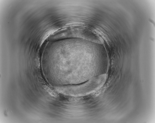 X0000095520973200712281456