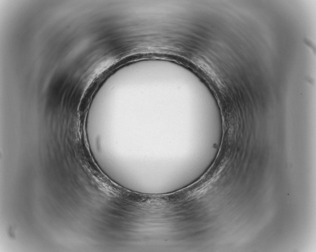 X0000095520974200712281456