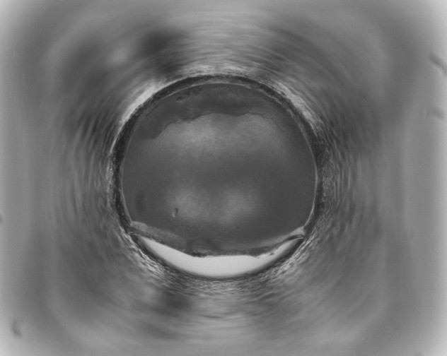 X0000095520975200712281456