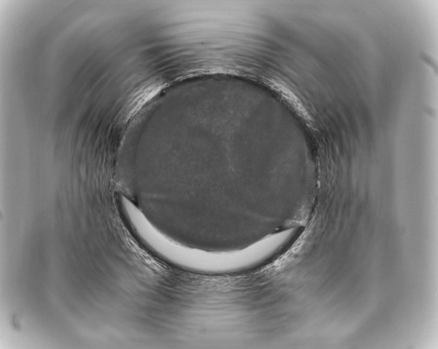 X0000095520977200712281456