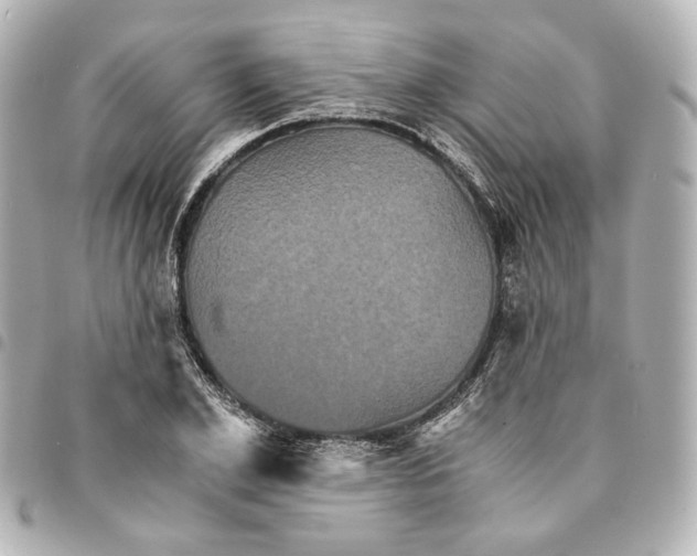 X0000095520981200712281456