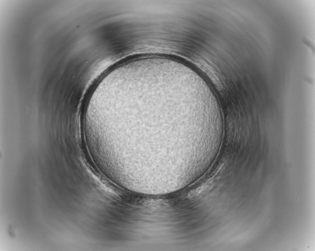 X0000095520982200712281456