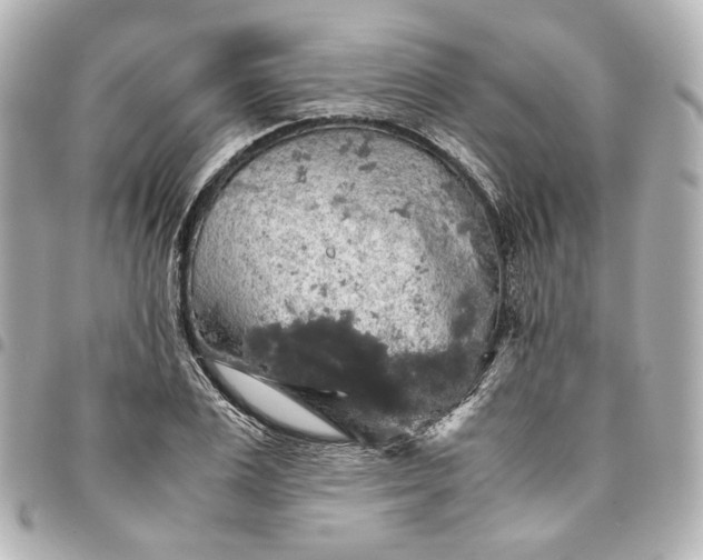 X0000095520983200712281456