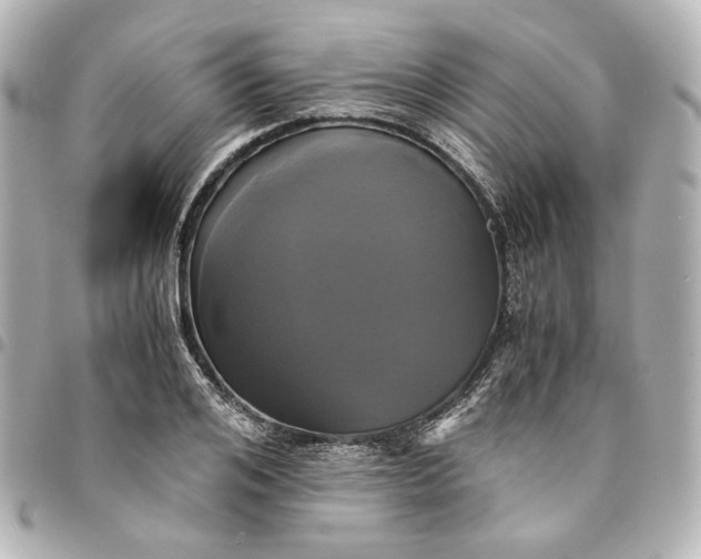 X0000095520984200712281456