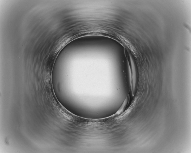 X0000095520985200712281456