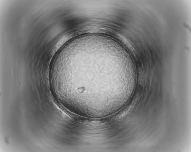 X0000095520986200712281456