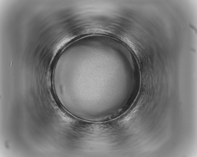 X0000095520987200712281456