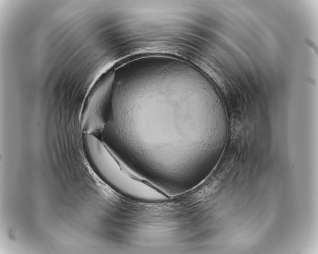 X0000095520988200712281456