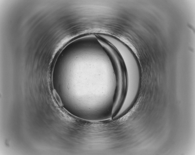 X0000095520989200712281456