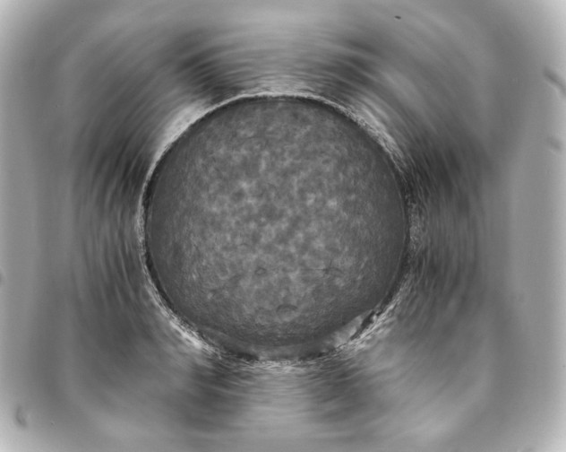 X0000095520990200712281456