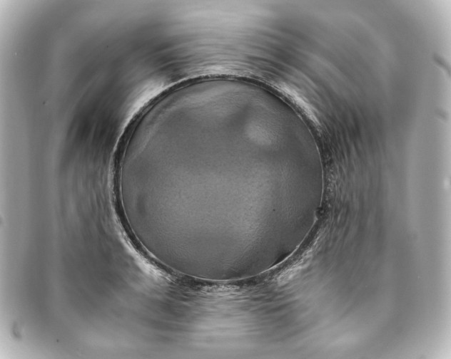 X0000095520991200712281456