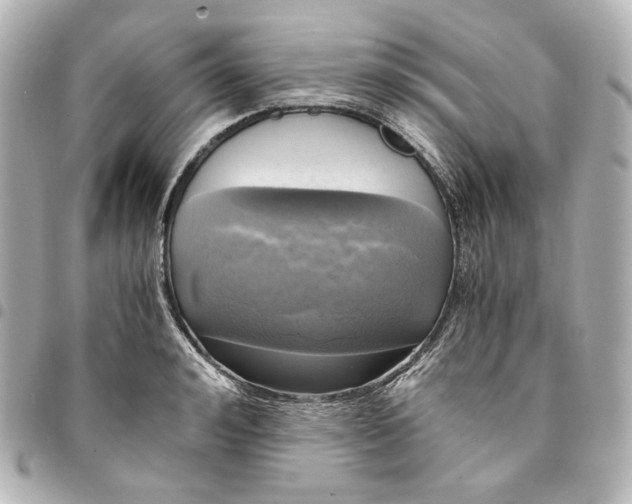 X0000095520992200712281456