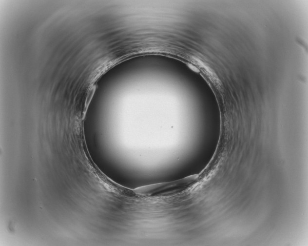 X0000095520993200712281456