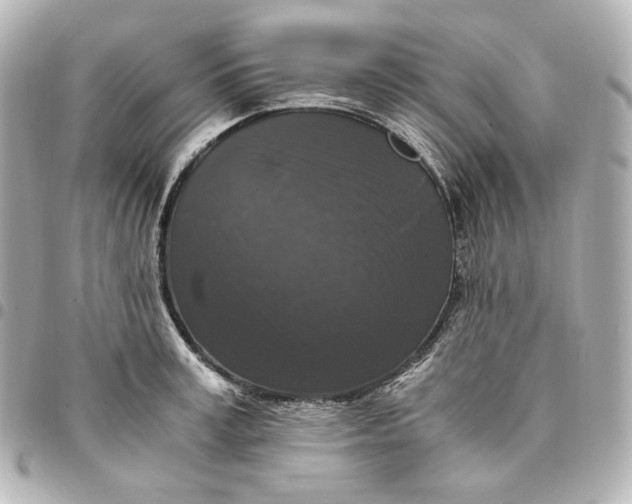 X0000095520995200712281456