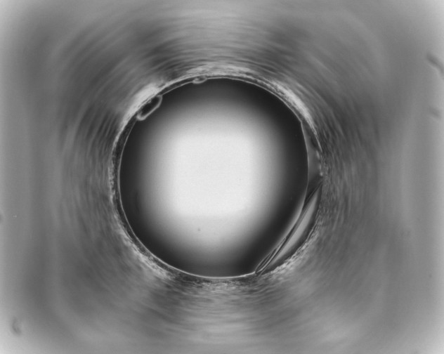 X0000095520997200712281456