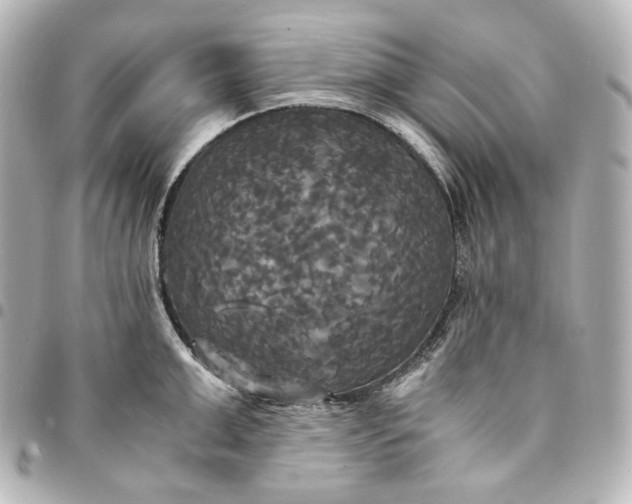 X0000095520999200712281456