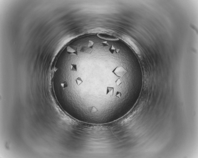 X0000095521000200712281456