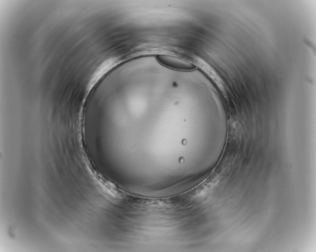 X0000095521002200712281456