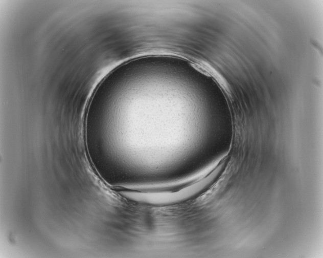 X0000095521004200712281456