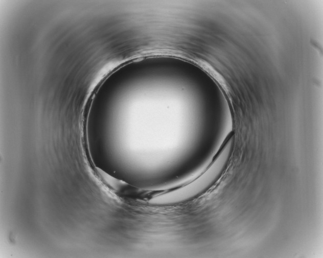 X0000095521005200712281456