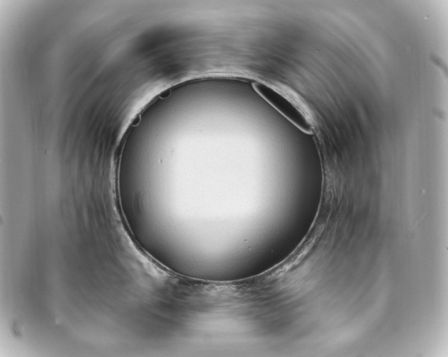 X0000095521006200712281456