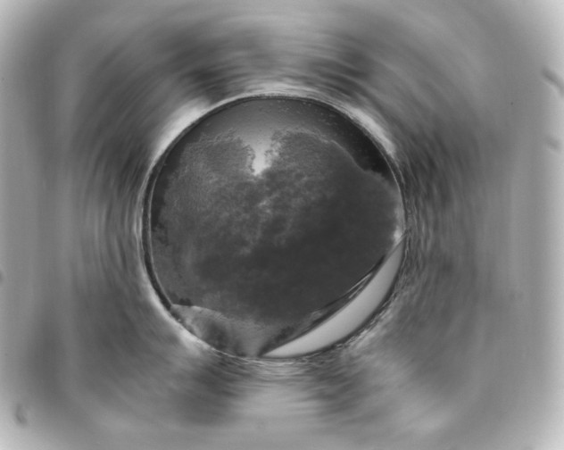 X0000095521007200712281456