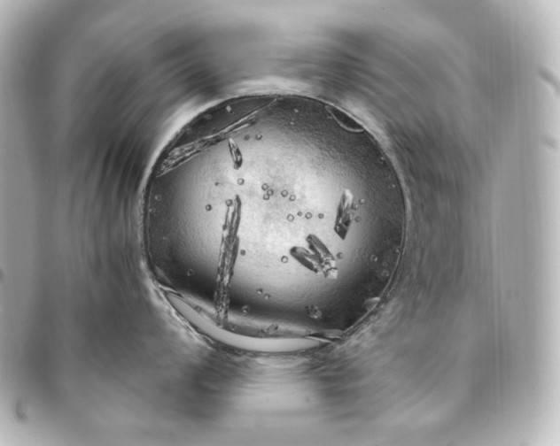 X0000095521008200712281456