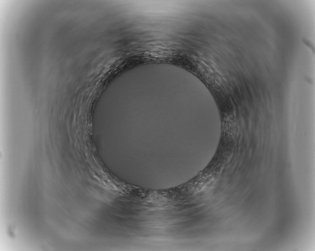 X0000095521009200712281455